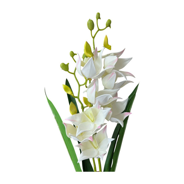 Flores  BLANCA 610