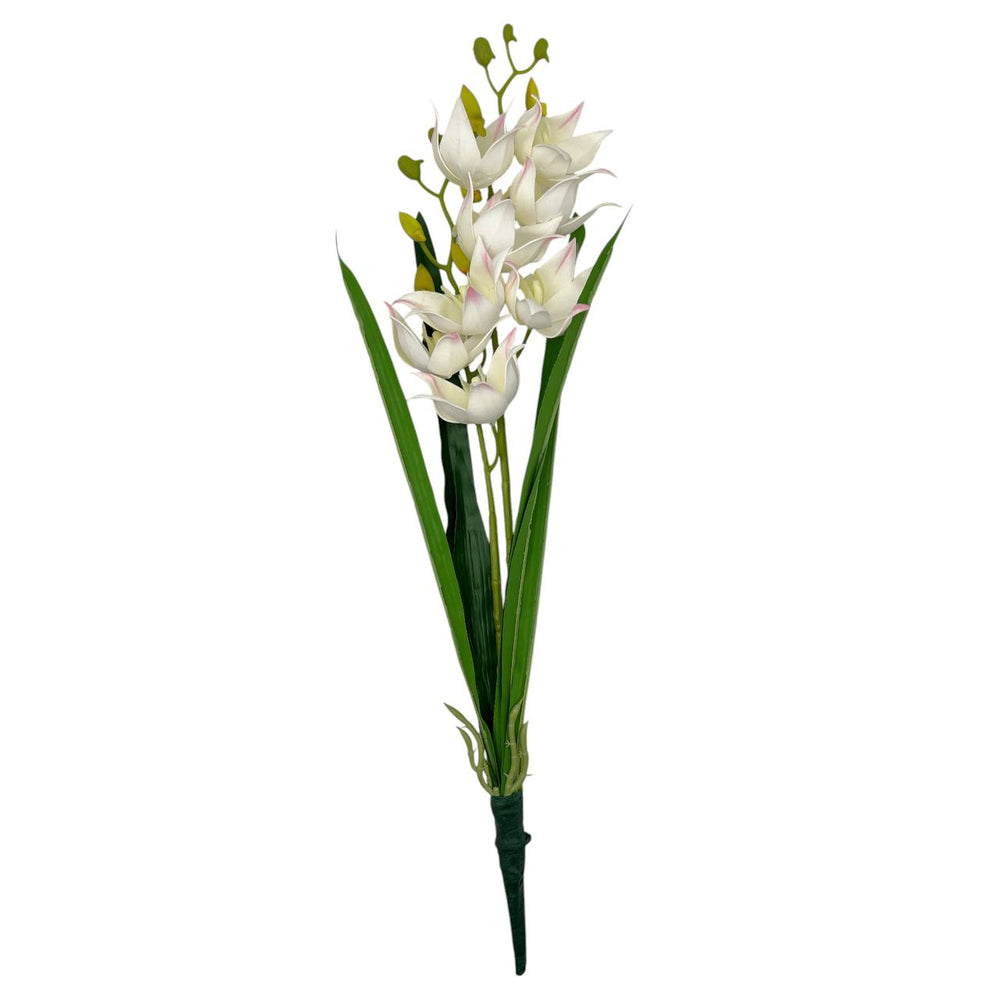 Flores  BLANCA 610