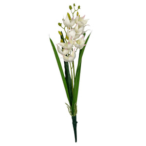 Flores  BLANCA 610